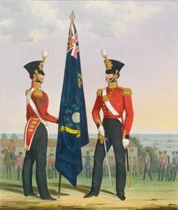 Royal Marines (Subalterns) 2. løytnant med divisjonsfarger, plate 15 fra 